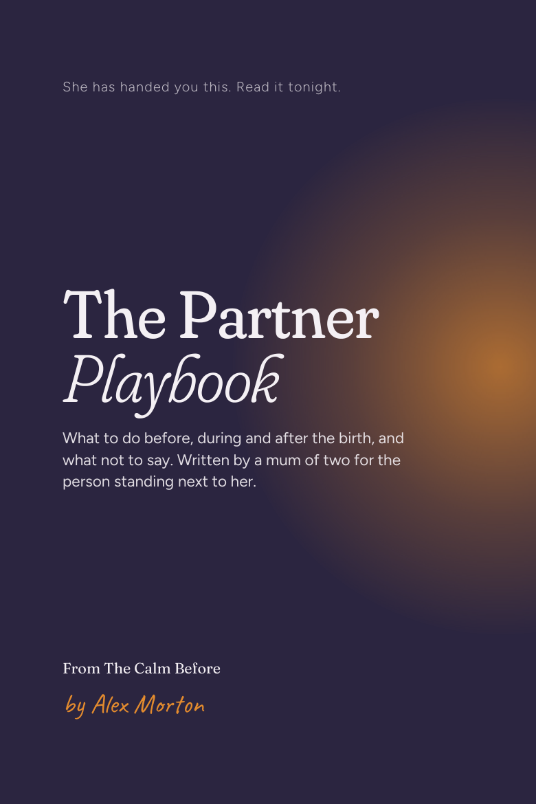The cover of The Partner Playbook, a standalone version of chapter 8